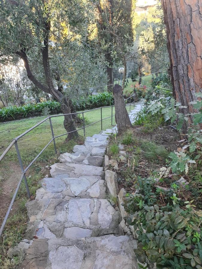 Agave Apartman Zoagli Kültér fotó